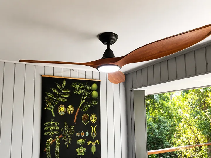 Combined ceiling fan and light with timber blades